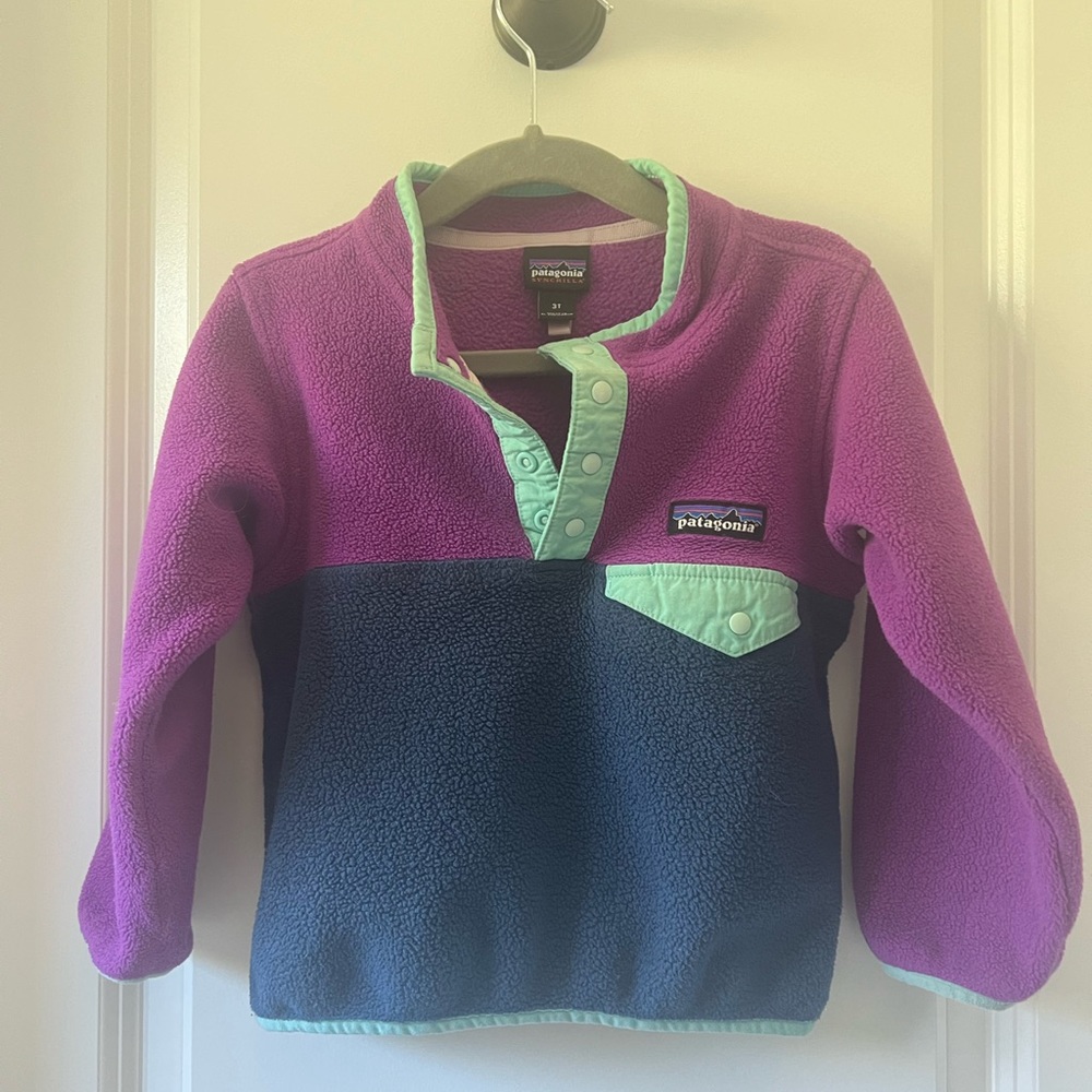Patagonia Micro D Snap-T Fleece Pullover